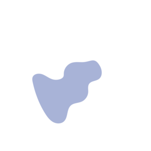 D398e81f-placeholder-1770016979