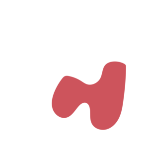 13d539af-placeholder-1770033555