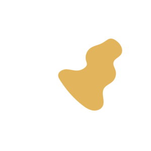 3e7ea5f2-placeholder-1770006233