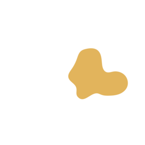 Ca060ca4-placeholder-1770005455