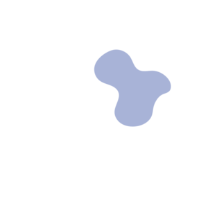 254c42e4-placeholder-1770019434