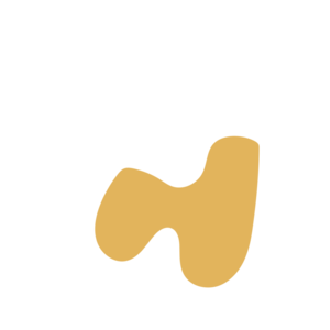 0b78cfd4-placeholder-1769999296