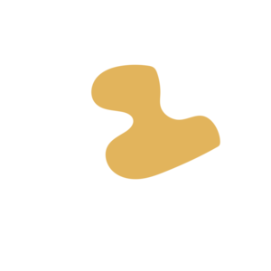 29ab7b9d-placeholder-1770011019