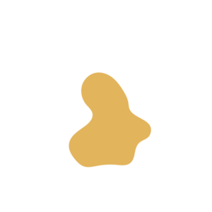 886c287a-placeholder-1769640605