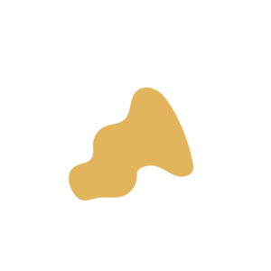 79939615-placeholder-1770005455