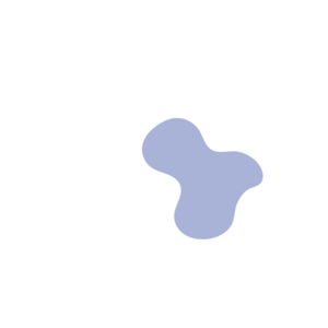 0f4a9724-placeholder-1770006282