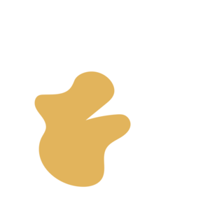 94425522-placeholder-1769999295