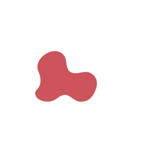 5e3201e7-placeholder-1770006376