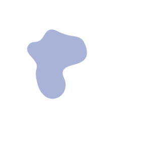 045c3f45-placeholder-1770046571