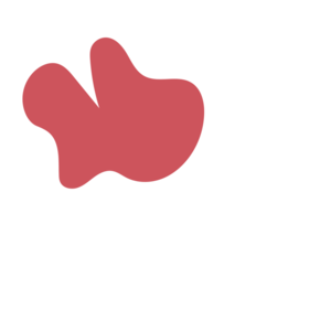 9aa9e2d4-placeholder-1770013609