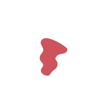 0042132e-placeholder-1770023654