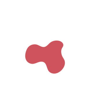 52b03b72-placeholder-1770021388