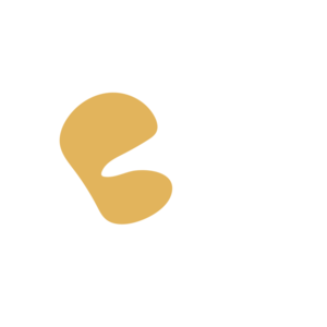 E36dcd75-placeholder-1770012713