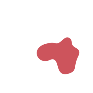 B20ece2e-placeholder-1770021102