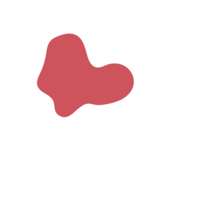 4b2044a2-placeholder-1769641112