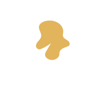 8fce9875-placeholder-1770020901