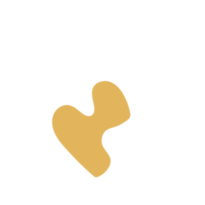 12eb7ae0-placeholder-1770019700