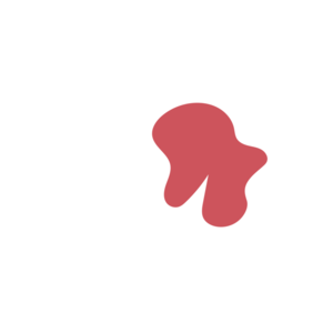 0d331b34-placeholder-1770055522