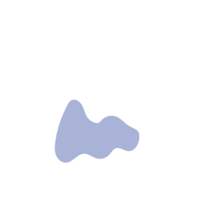 45c79a3e-placeholder-1770012272