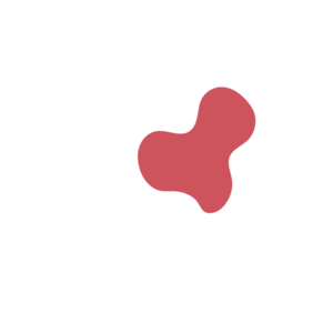 B7435c6d-placeholder-1770051074