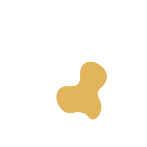 81303541-placeholder-1769511428