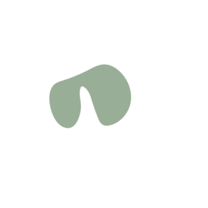 D06d5fc9-placeholder-1770015540