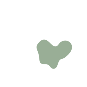 976de6d8-placeholder-1770009185