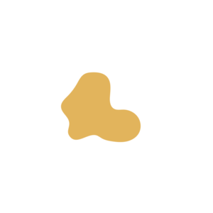 4b59f87d-placeholder-1770008692