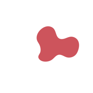 967ac1bc-placeholder-1770008244