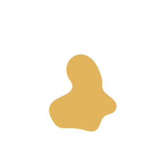 398dda39-placeholder-1770013776