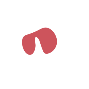 B0edfbca-placeholder-1770056434