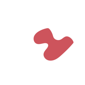 C1cc53f4-placeholder-1770013582