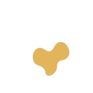 F1cf7591-placeholder-1770022292