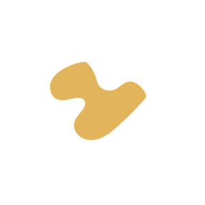 Cf203736-placeholder-1770012515