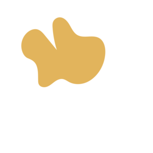 B7c75b05-placeholder-1770053629