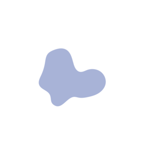 201c0fe0-placeholder-1770012586