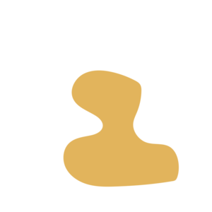 9bc141ea-placeholder-1770056328