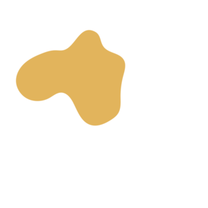 10fe2a7b-placeholder-1770056407