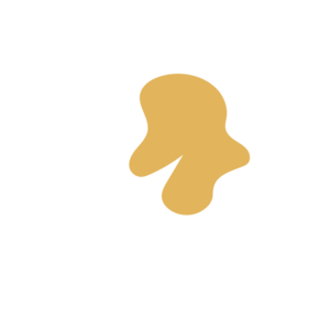 Bd10aa08-placeholder-1770013174