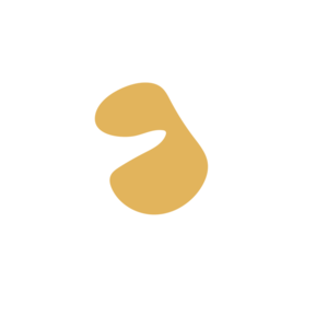 59c93a7a-placeholder-1770027240