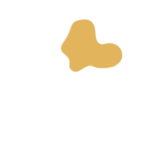 C2795c0f-placeholder-1770018245