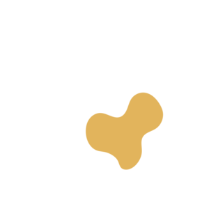 Afe55d2b-placeholder-1770050835