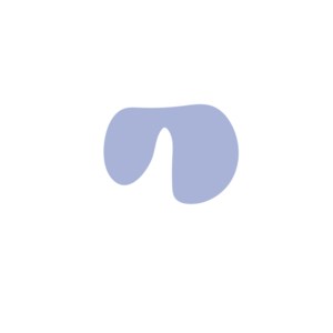 254cd52f-placeholder-1770011303