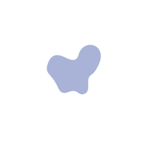 0c340561-placeholder-1768689573