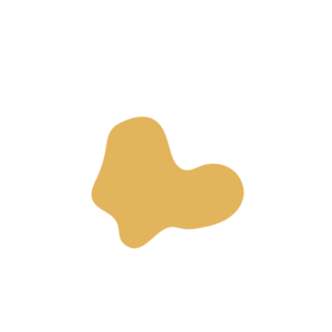 D31f47d9-placeholder-1770015378