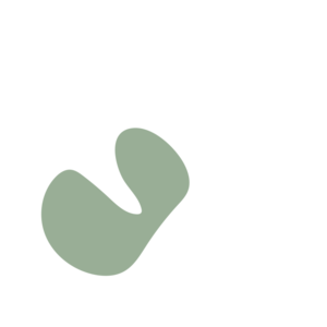 443b71c0-placeholder-1770017507