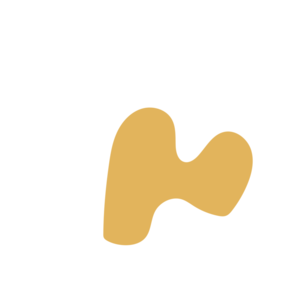 F0f8f131-placeholder-1770025752