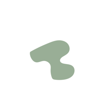 B998d556-placeholder-1770007195