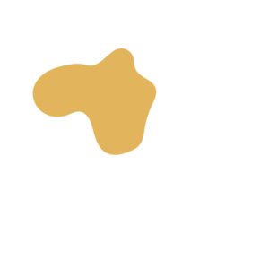 Abfe90ee-placeholder-1770015519