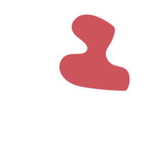 Fe058f73-placeholder-1770010209